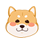 dongbao的头像